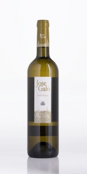 JOSE GALLO RUEDA VERDEJO 2023