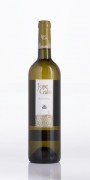 JOSE GALLO RUEDA VERDEJO 2023