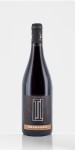 DOMAINE DU PETIT BONDIEU "TERRES BRUNES" BOURGUEIL 2019